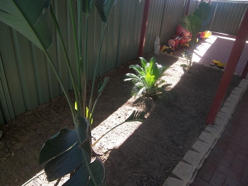 80 Walpole Street, Paralowie SA 5108