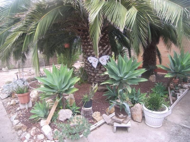 13 Sherwood Avenue, Salisbury East SA 5109