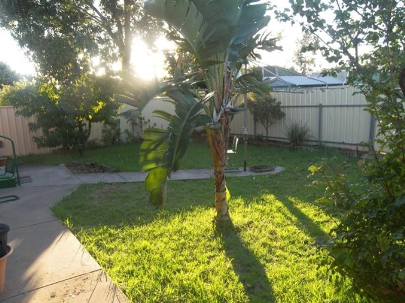 62 Milne Road, Para Hills SA 5096