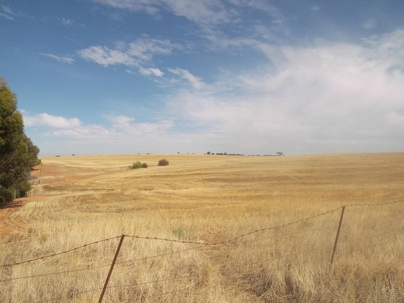 Lot 2 Hamley Bridge Road, Barabba SA 5460