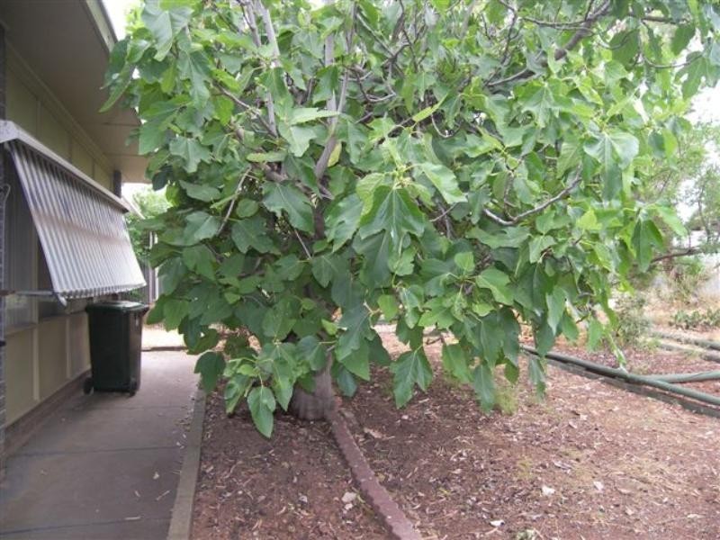 15 Williamson Road, Para Hills SA 5096