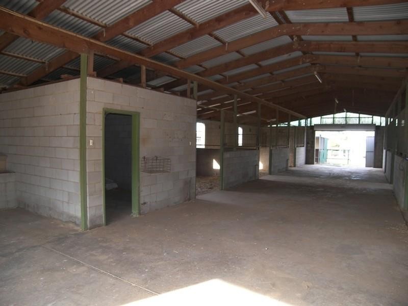 80 Daniel Avenue, Globe Derby Park SA 5110