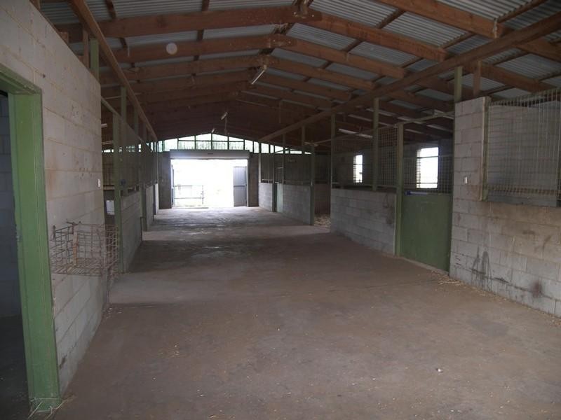 80 Daniel Avenue, Globe Derby Park SA 5110