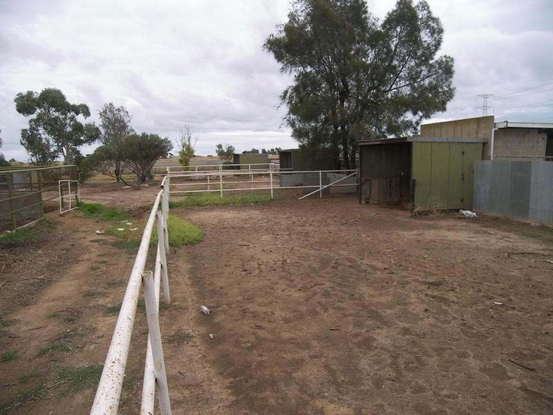 80 Daniel Avenue, Globe Derby Park SA 5110