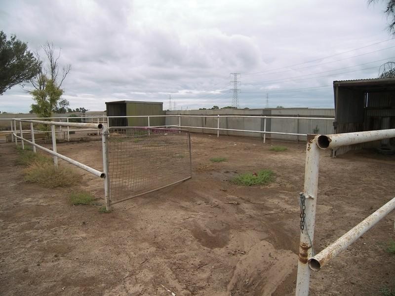 80 Daniel Avenue, Globe Derby Park SA 5110