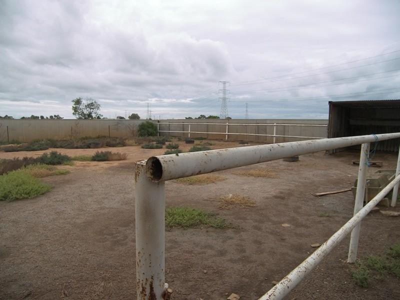 80 Daniel Avenue, Globe Derby Park SA 5110