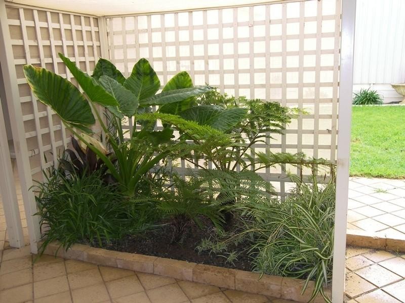 20 Rosette Avenue, Para Hills West SA 5096