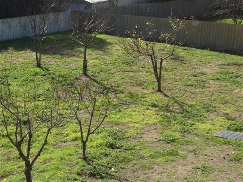 19A and 21A McArthur Street, Dromana VIC 3936