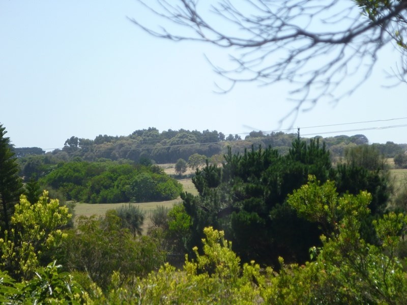 1124 Boneo Road, Cape Schanck VIC 3939