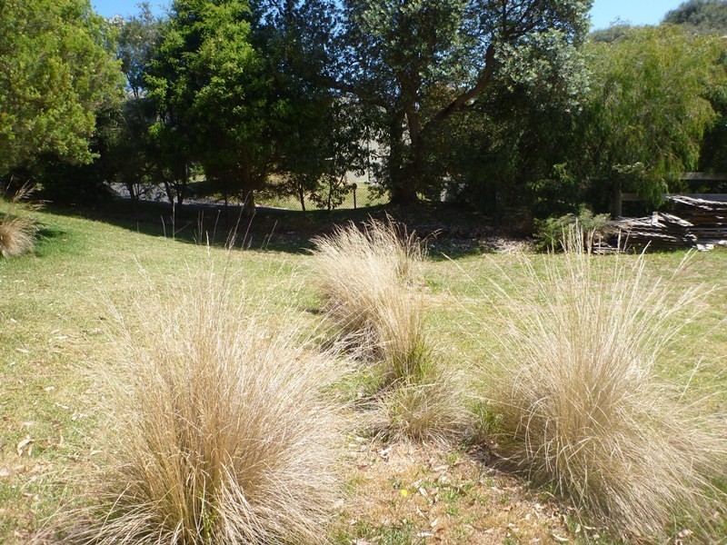 1124 Boneo Road, Cape Schanck VIC 3939