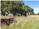 Lot 5 Tankerton Road, French Island VIC 3921
