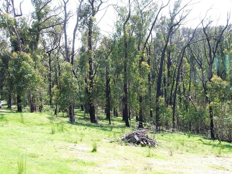 145 Ainsworth Road, Chum Creek VIC 3777