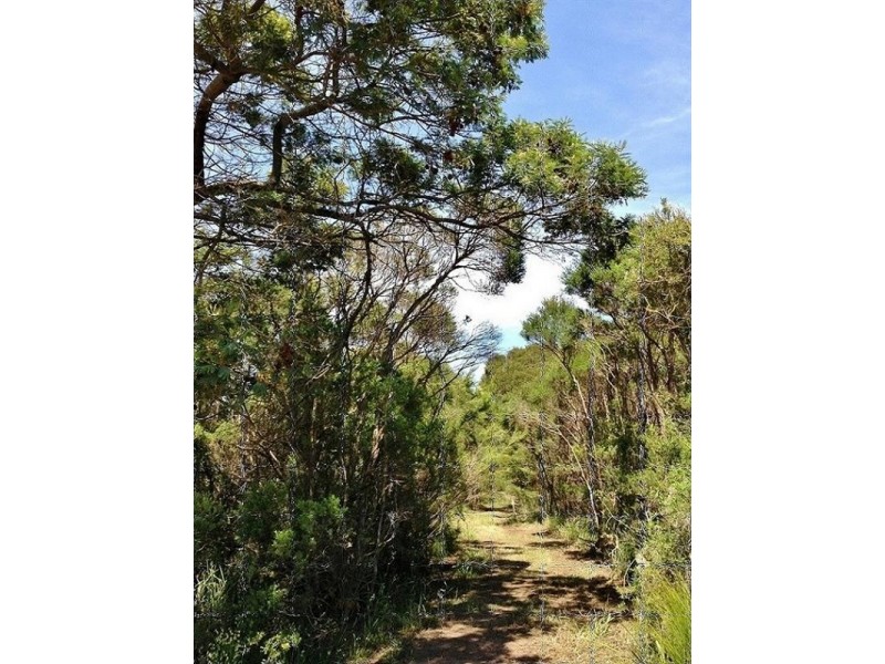 Lot 1 Tankerton Road, French Island VIC 3921