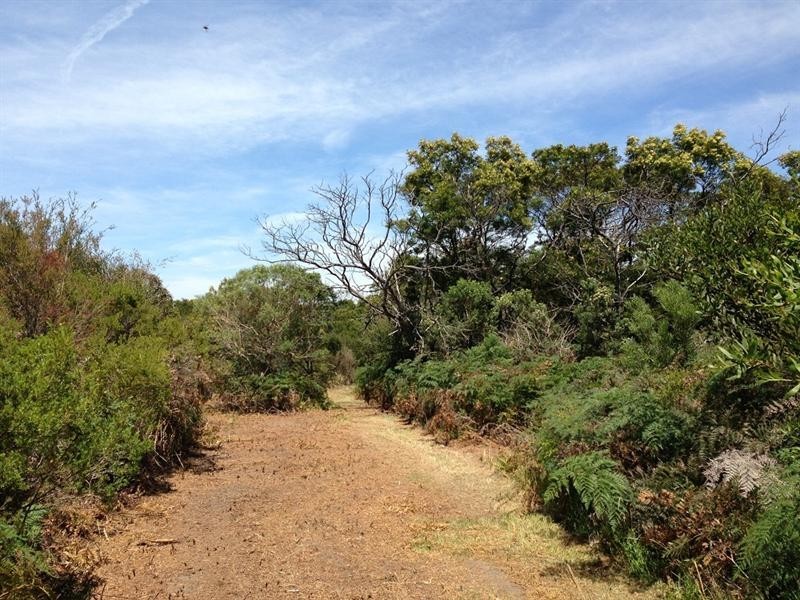 Lot 1 Tankerton Road, French Island VIC 3921