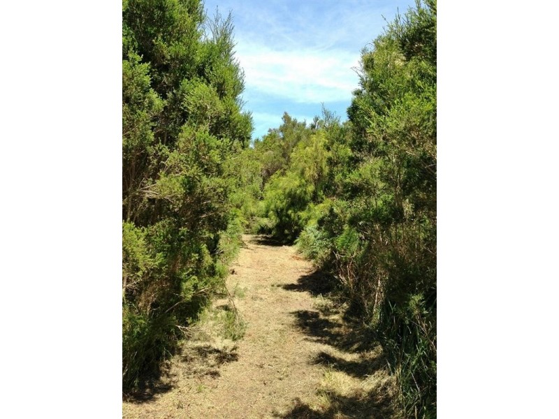 Lot 1 Tankerton Road, French Island VIC 3921