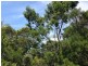 Lot 1 Tankerton Road, French Island VIC 3921