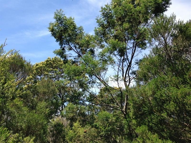 Lot 1 Tankerton Road, French Island VIC 3921