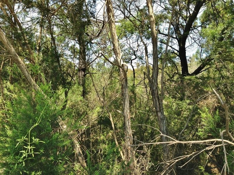 Lot 1 Tankerton Road, French Island VIC 3921