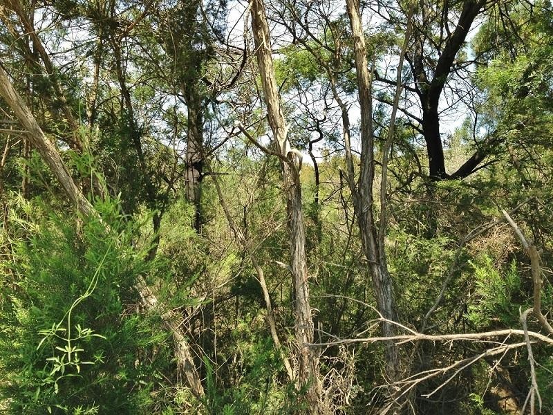 Lot 1 Tankerton Road, French Island VIC 3921