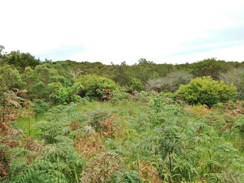 Lot 1 Tankerton Road, French Island VIC 3921