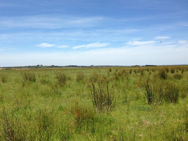 Lot 1, 63B Clump Road, French Island VIC 3921
