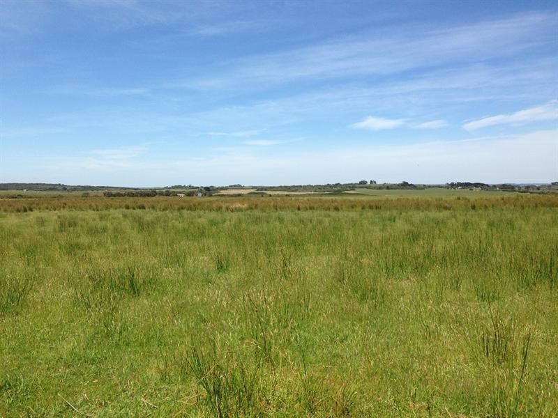 Lot 1, 63B Clump Road, French Island VIC 3921