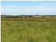 Lot 1, 63B Clump Road, French Island VIC 3921