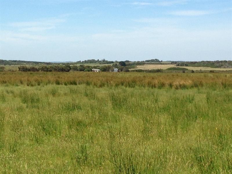 Lot 1, 63B Clump Road, French Island VIC 3921