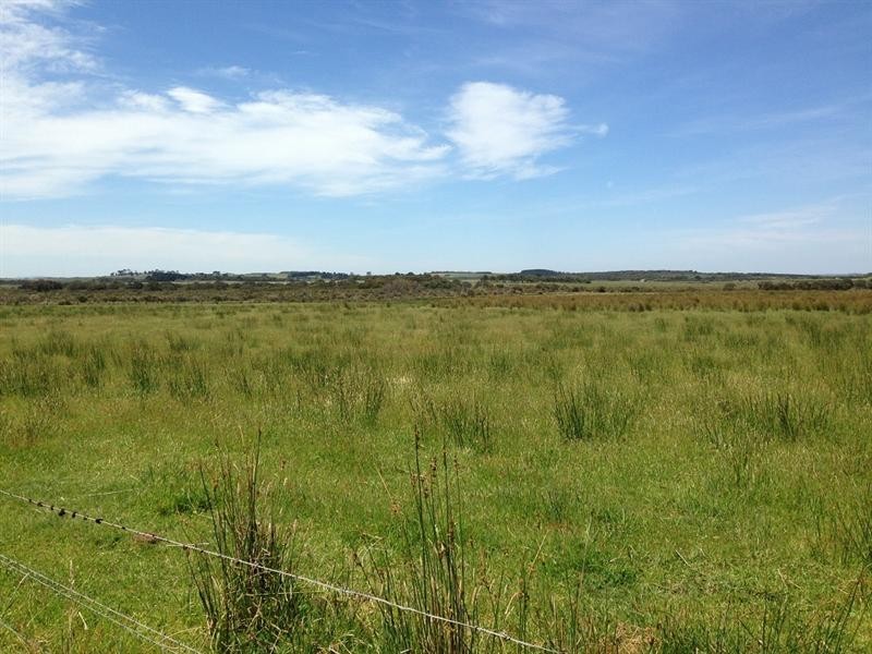 Lot 1, 63B Clump Road, French Island VIC 3921