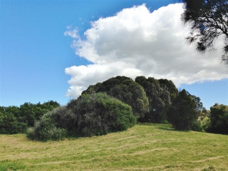 40 Casuarina Drive, Cape Schanck VIC 3939