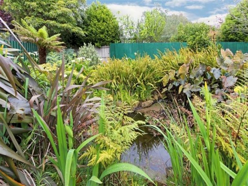 2 Gipps Street, Rosebud VIC 3939