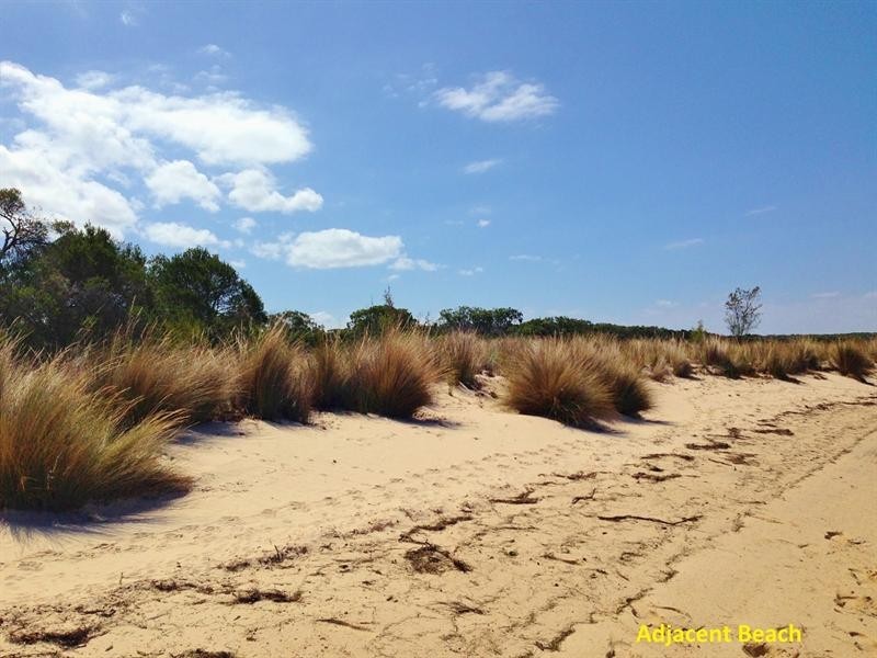 Lot 1 Overpass Road, French Island VIC 3921