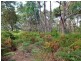 Lot 1 Overpass Road, French Island VIC 3921