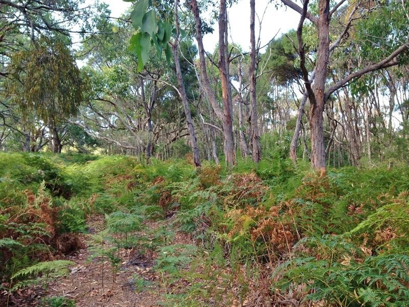 Lot 1 Overpass Road, French Island VIC 3921