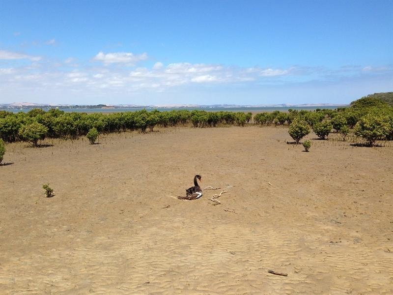 Lot 1 Overpass Road, French Island VIC 3921