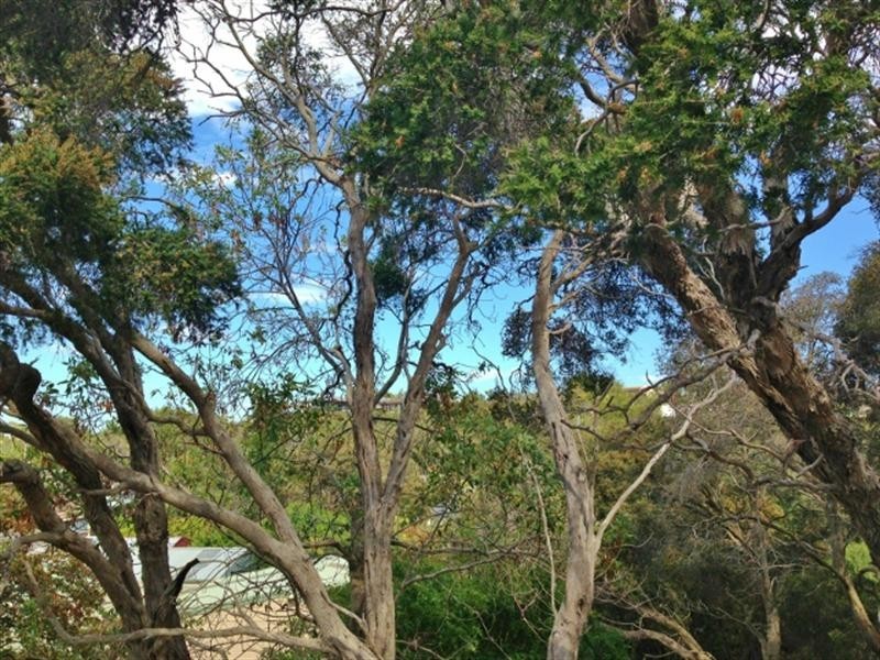 40a Hygeia Street, Rye VIC 3941