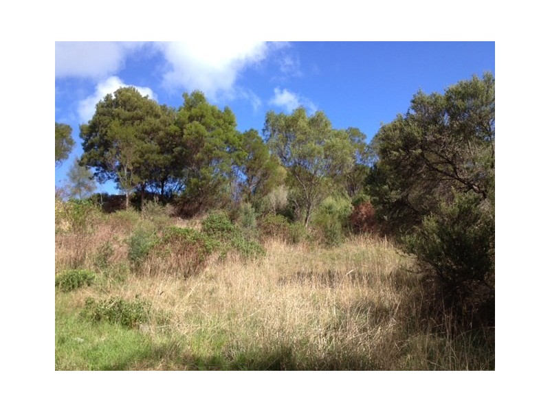 2 Tralee Lane, Fingal VIC 3939