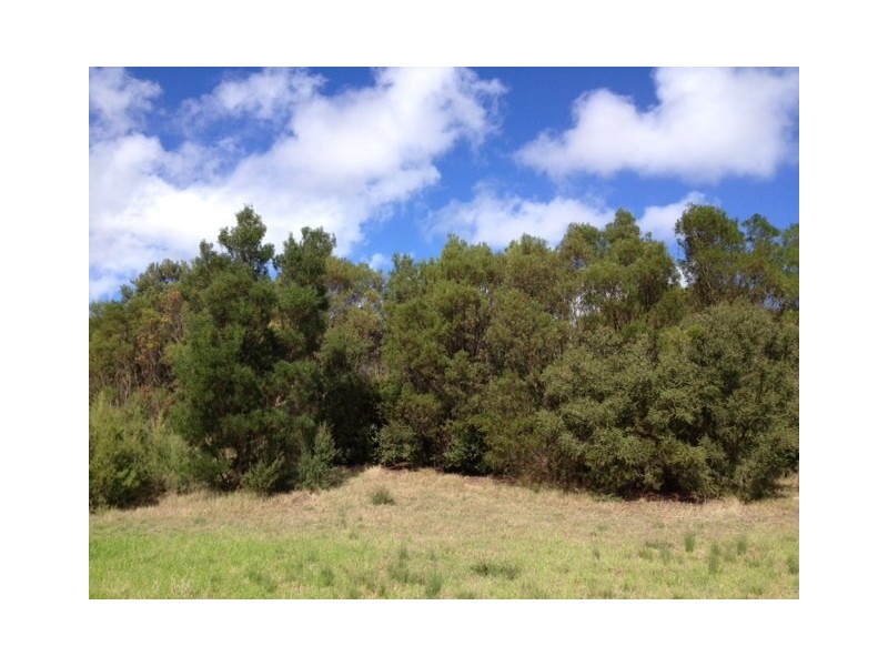 2 Tralee Lane, Fingal VIC 3939