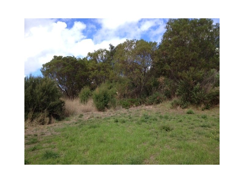 2 Tralee Lane, Fingal VIC 3939