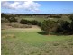 52 The Ridge Road, Fingal VIC 3939