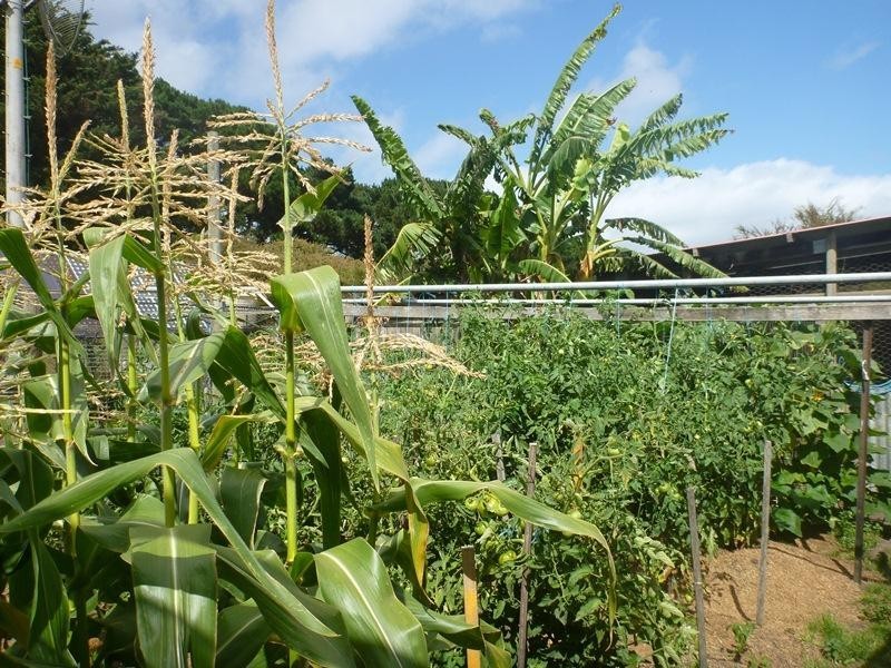 Lot 1 Tankerton Road (French Island Store), French Island VIC 3921