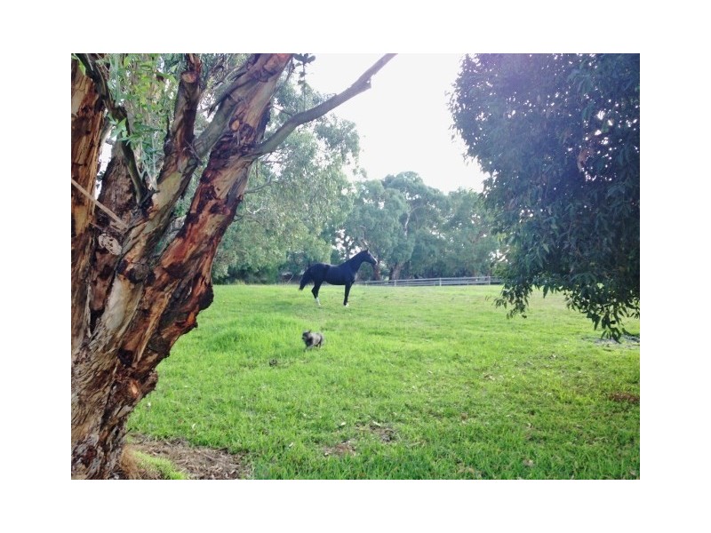 116 Browns Road, Boneo VIC 3939