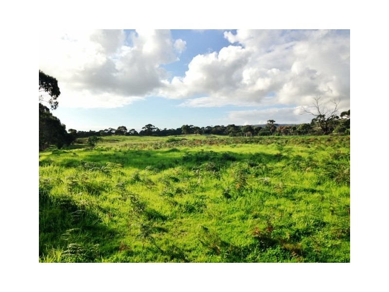 116 Browns Road, Boneo VIC 3939