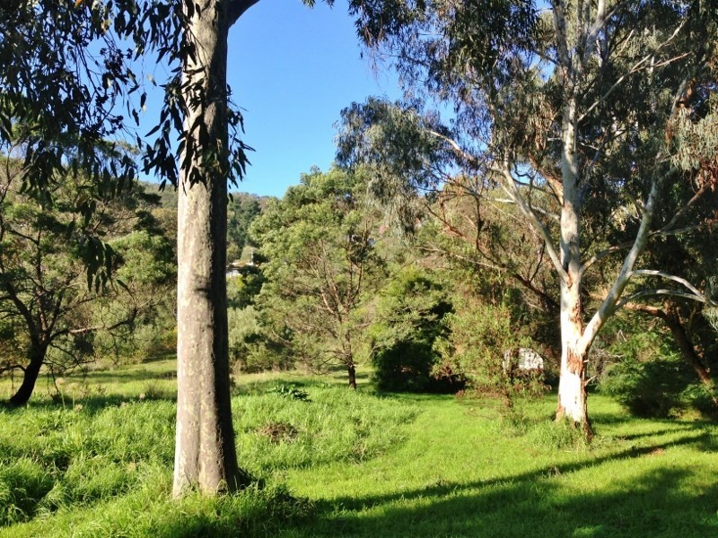 19 Bass Street, Mccrae VIC 3938