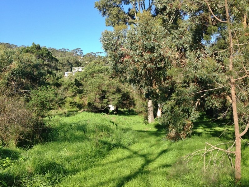 19 Bass Street, Mccrae VIC 3938