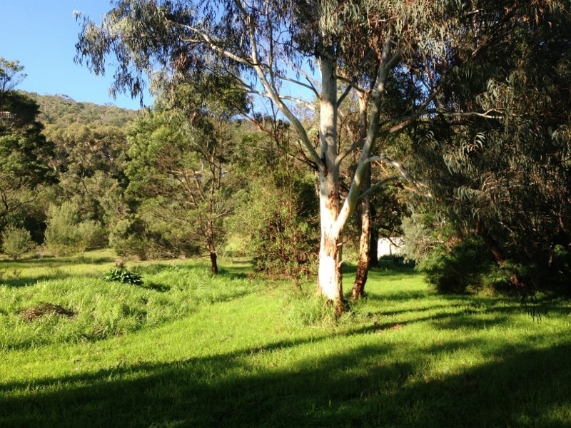 19 Bass Street, Mccrae VIC 3938