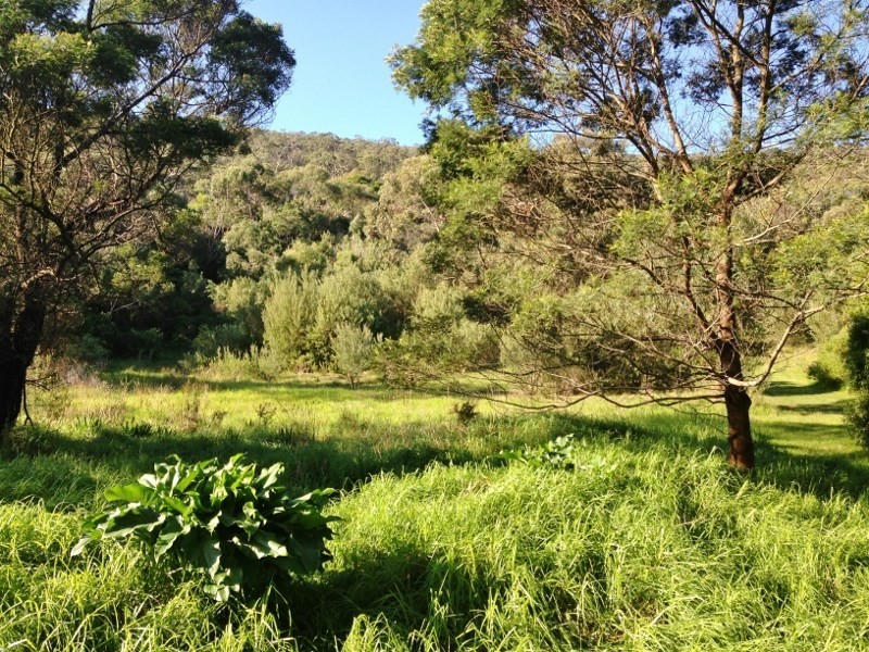 19 Bass Street, Mccrae VIC 3938