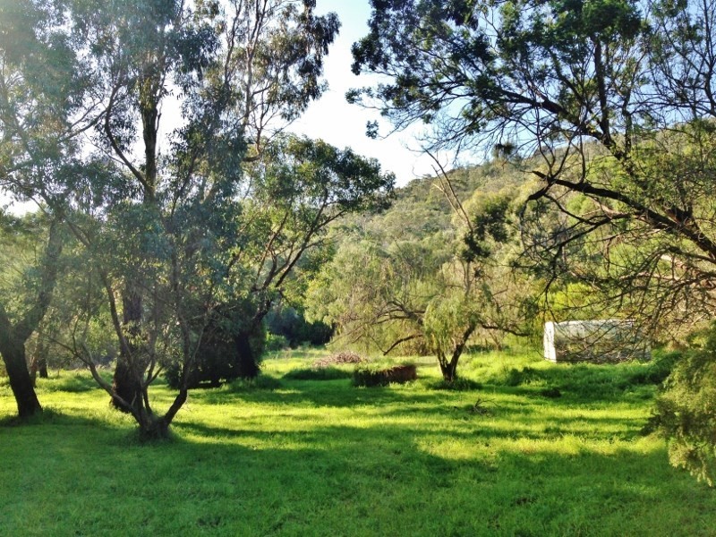 19 Bass Street, Mccrae VIC 3938