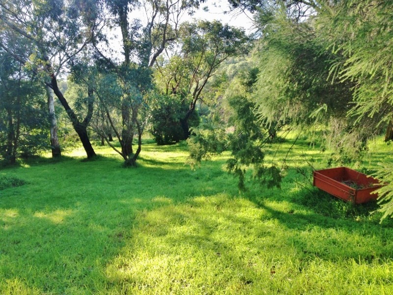 19 Bass Street, Mccrae VIC 3938