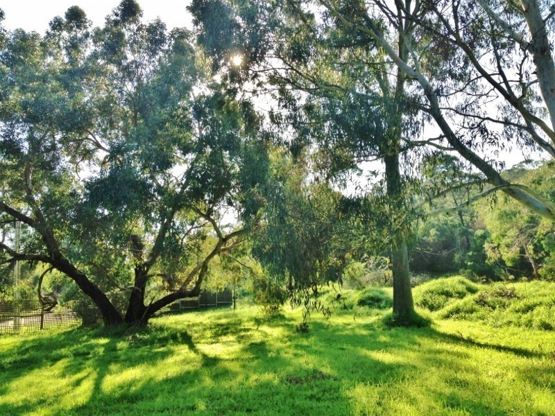 19 Bass Street, Mccrae VIC 3938